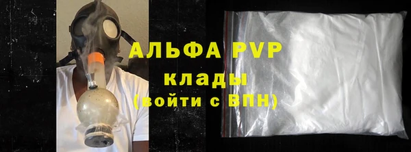 стафф Алзамай