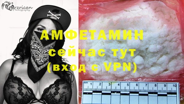 молекула духа Алексин