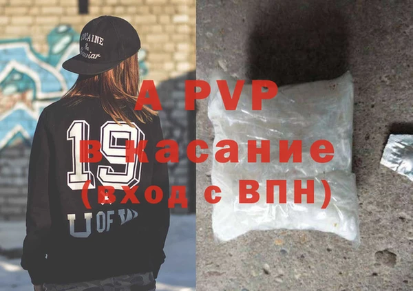стафф Алзамай