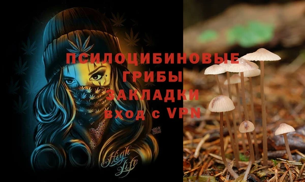 круглые Алексеевка