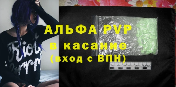 стафф Алзамай